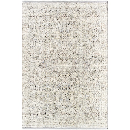Livabliss Rivaldo RVD-2302 Area Rug , With Fringe RVD2302-2439